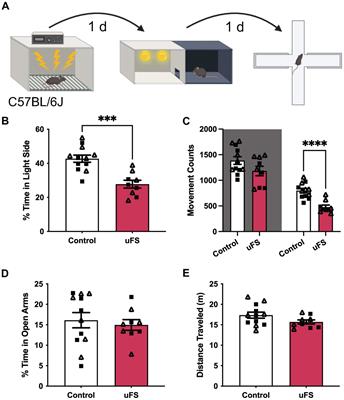 Stress-induced anxiety-related behavior in mice is driven by enhanced excitability of ventral tegmental area GABA neurons